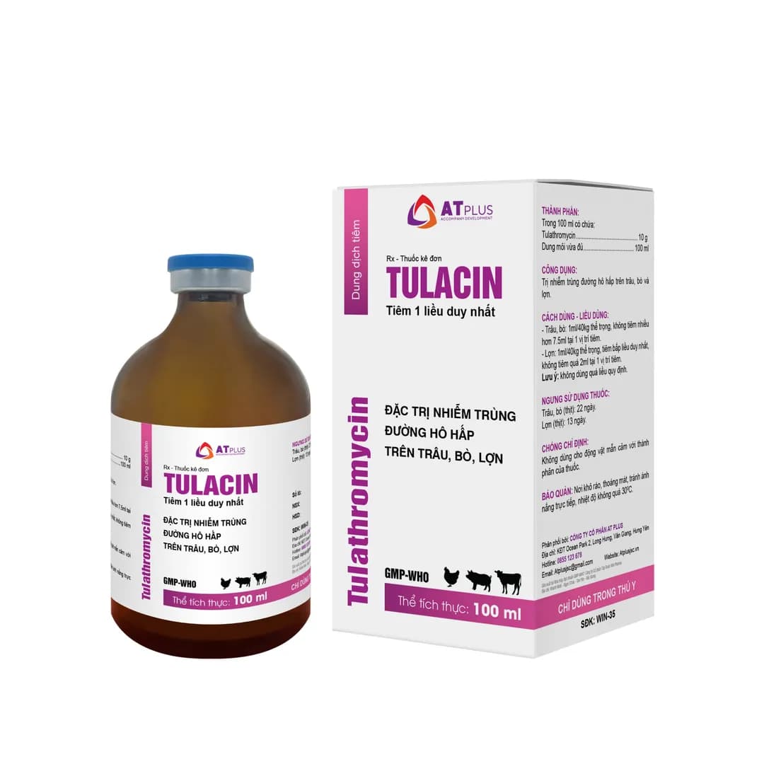 Tulacin